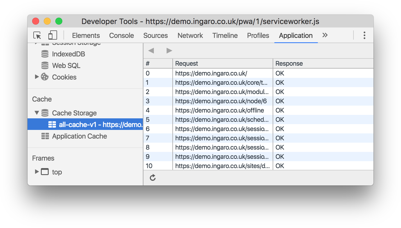 Screenshot of Chrome developer tools, showing the contents of the cache.